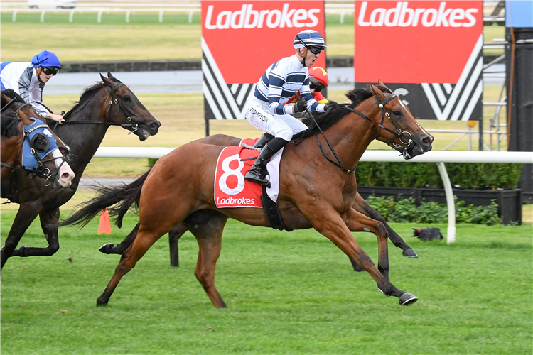 UNCOMMON JAMES winning the Ladbrokes Oakleigh Plate (Chute, Second WP) at Sandown in Australia.