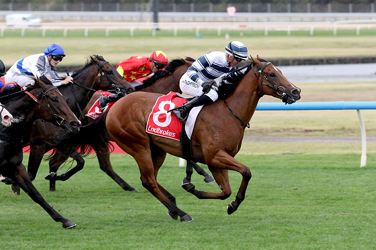 UNCOMMON JAMES winning the Ladbrokes Oakleigh Plate (Chute, Second WP)
