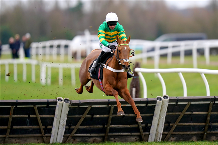 UNDER CONTROL ridden by jockey Nico de Boinville on their way to winning the BetVictor Proud Sponsors Of Newbury Juvenile Hurdle at Newbury Racecourse.