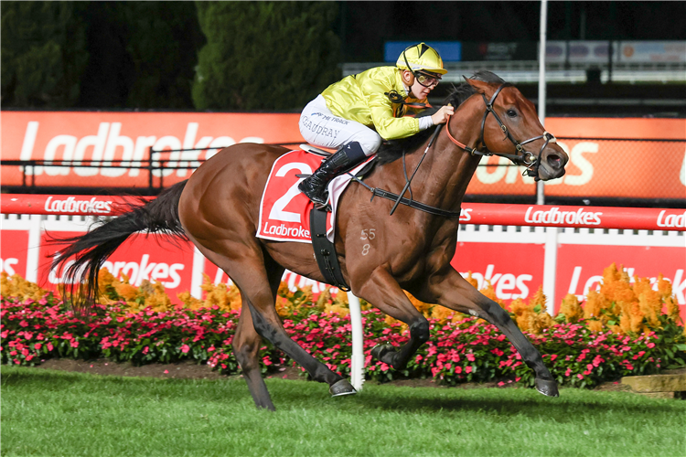 UNFLINCHING winning the Ladbrokes 55 Second Challenge Final at Moonee Valley in Moonee Ponds, Australia.