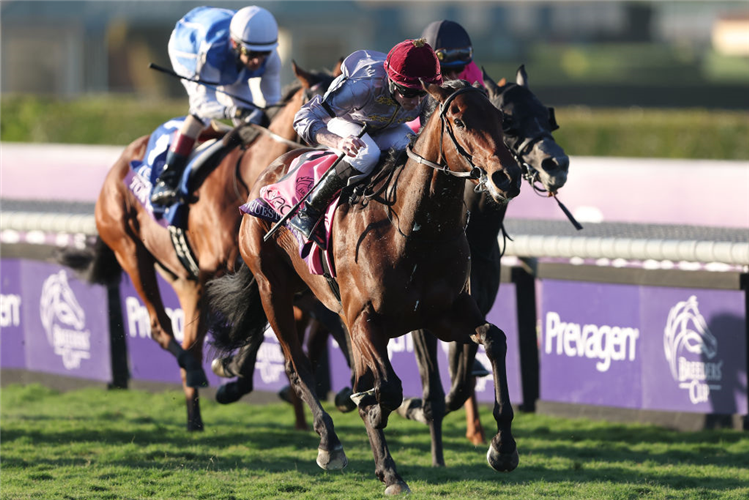 UNQUESTIONABLE winning the Breeders' Cup Juvenile Turf at Santa Anita in Arcadia, California.