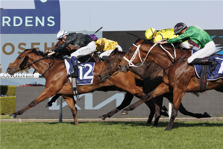 UNSPOKEN winning the FIVE DIAMONDS at Rosehill in Australia.