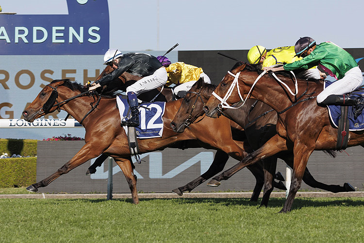 「不言而喻」胜出五钻大赛