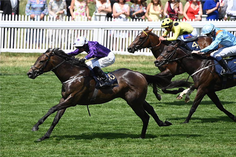 VALIANT FORCE winning the Norfolk Stakes at Royal Ascot in England.