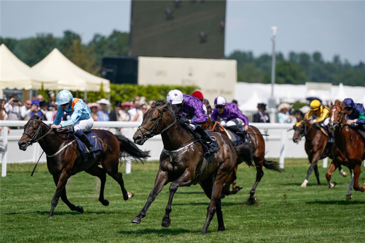 VALIANT FORCE (white cap) winning the Norfolk Stakes at Ascot in England.