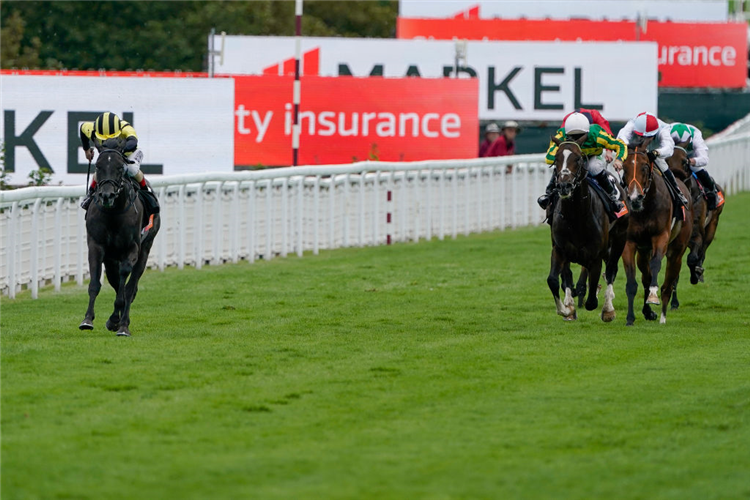 VANDEEK winning the Richmond Stakes at Goodwood in Chichester, England.