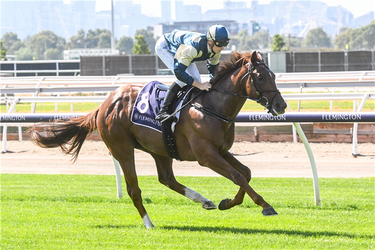 VEECEE winning the VRC Summer Fun Sprint in Flemington, Australia.