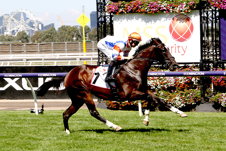 VEIGHT winning the MSS Security Sires' Produce Stakes