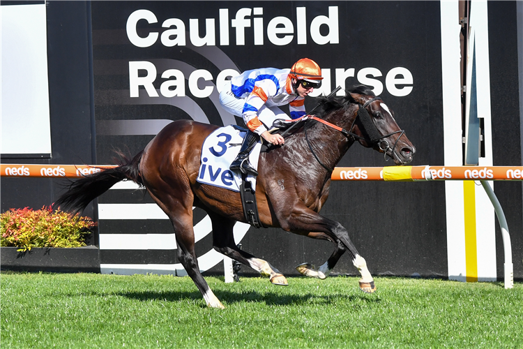 VEIGHT winning the ive > Mcneil Stakes at Caulfield in Australia.