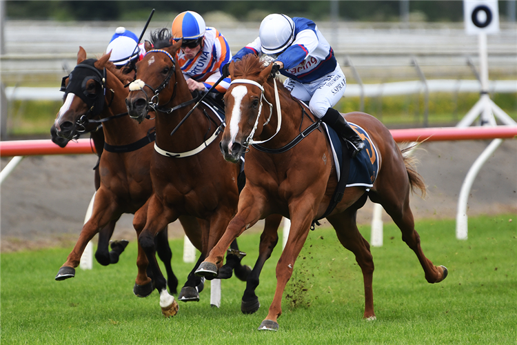 Velocious makes bold statement in Challenge Stakes