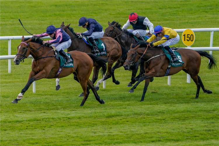 VIA SISTINA winning the Pretty Polly Stakes at Curragh in Kildare, Ireland.
