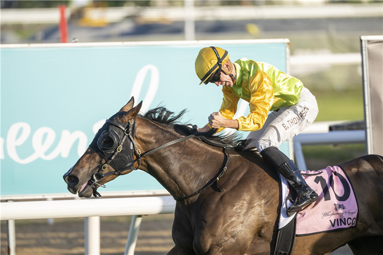 VINCO winning the Magic Millions Cup at Gold Coast in Australia.
