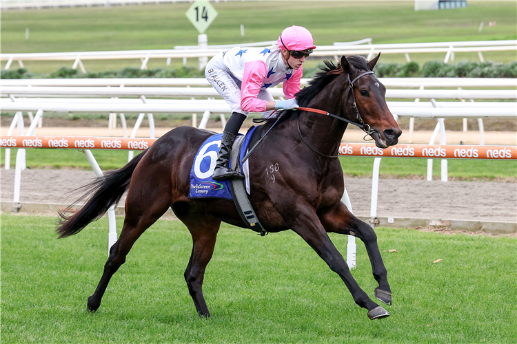 VON HAUKE winning the The Big Screen Company Plate at Mornington in Australia.