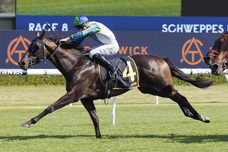 WAIHAHA FALLS winning the SCHWEPPES HANDICAP