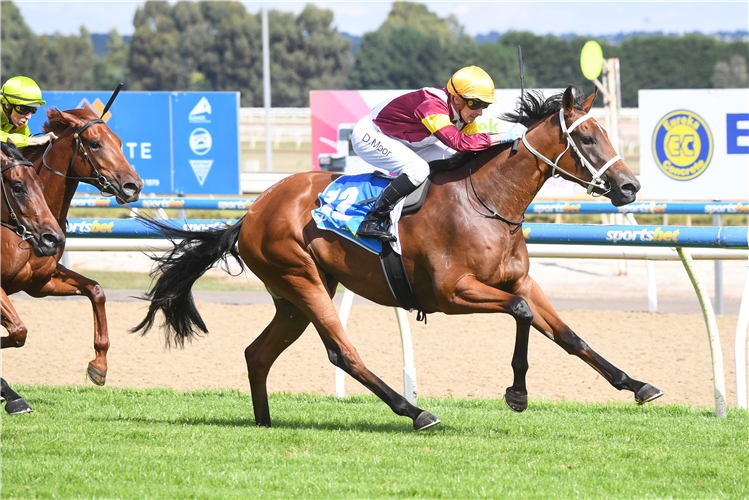 WAIMARIE winning the Pipe Pro Directional Drilling 2YO Maiden Plate at Sportsbet-Ballarat in Ballarat, Australia.