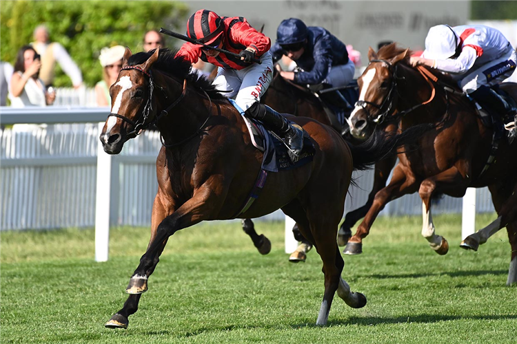 WAIPIRO winning the Hampton Court Stakes at Royal Ascot in England.