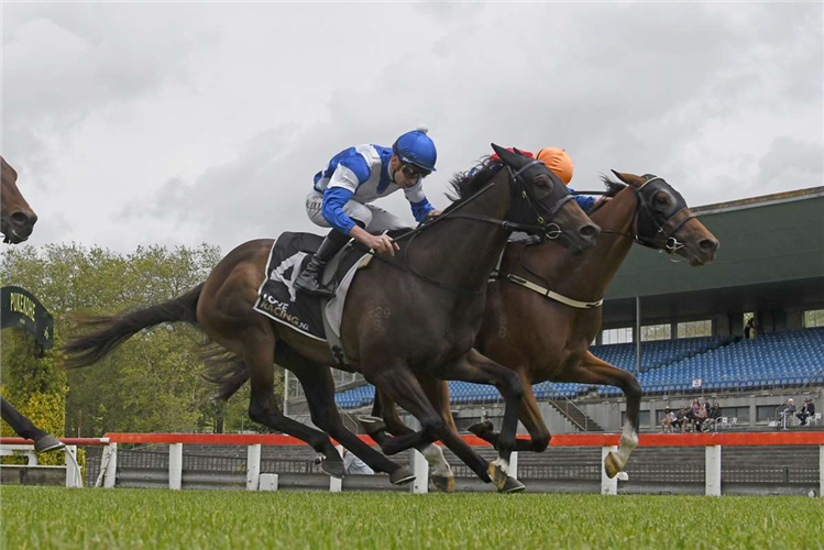 Wallen on song for Te Aroha