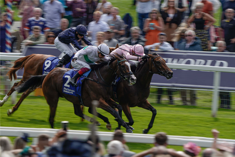 WARM HEART (pink cap) winning the Yorkshire Oaks at York in England.
