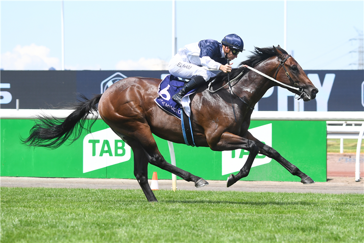 WHAT YOU NEED winning the VRC Member James Matthies Sprint at Flemington in Australia.