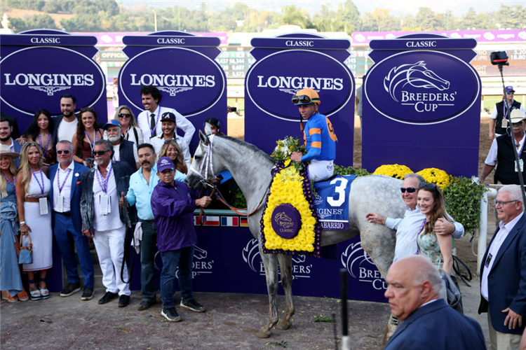 WHITE ABARRIO after winning the Breeders' Cup Classic at Santa Anita Park in Arcadia, California.