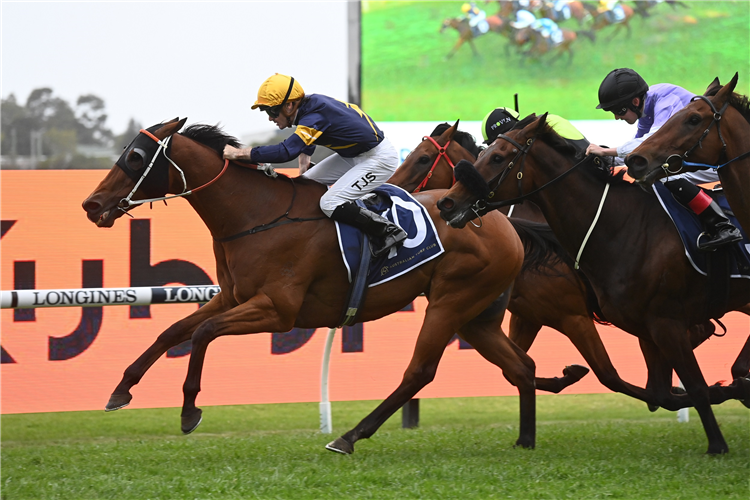 WILD PLANET winning the Rosehill Gold Cup in Rosehill, Australia.