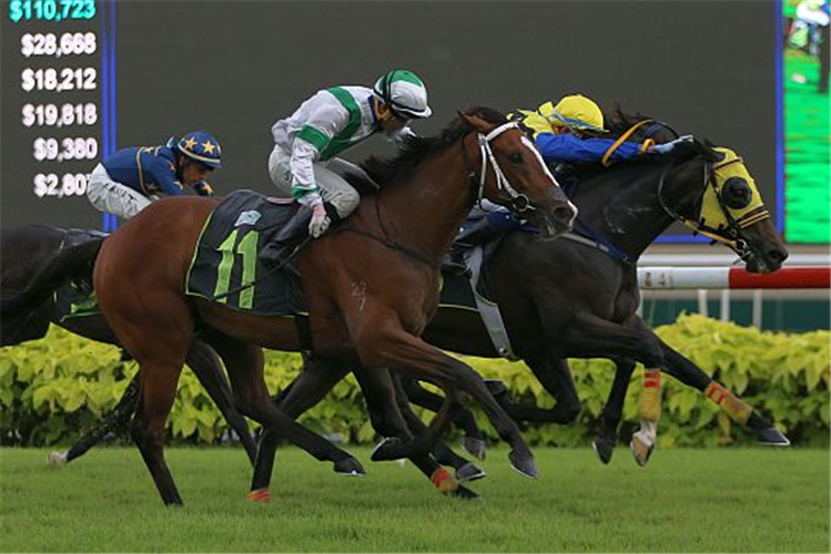 WIND TRAIL winning the SUPER EASY 2012 STAKES CLASS 4