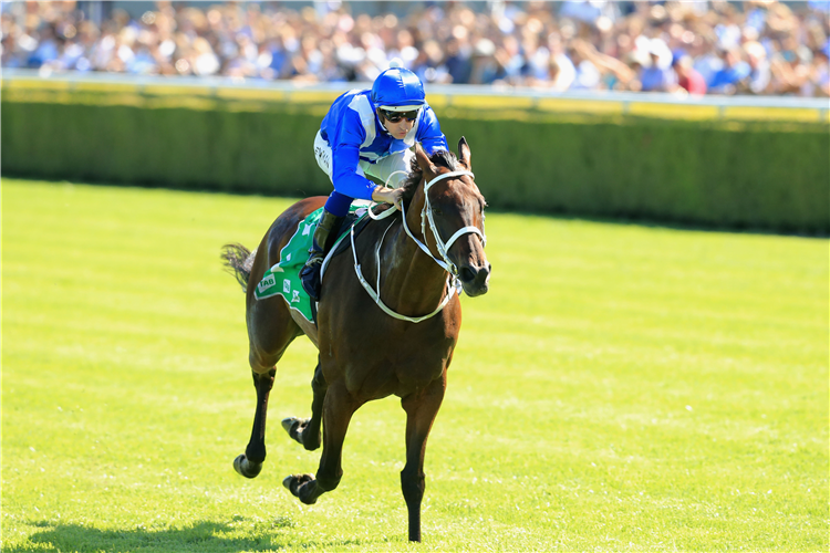 Winx winning the race 6 Chipping Norton Stakes during Sydney Racing at Royal Randwick in Sydney, Australia.