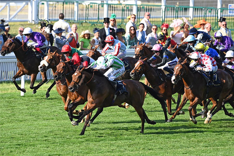 WITCH HUNTER winning the Buckingham Palace Stakes at Royal Ascot in England.