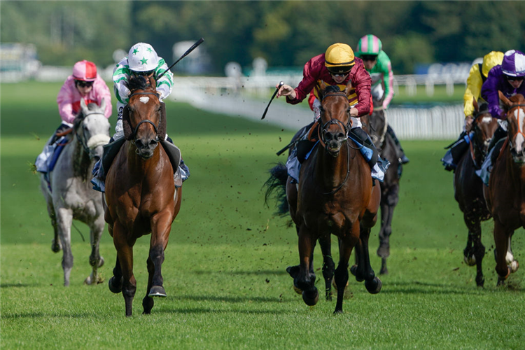 WITCH HUNTER (L, green/white cap) winning the Hungerford Stakes at Newbury in England.