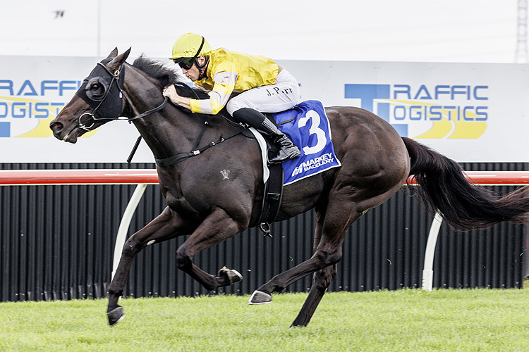 All-the-way win for With Your Blessing