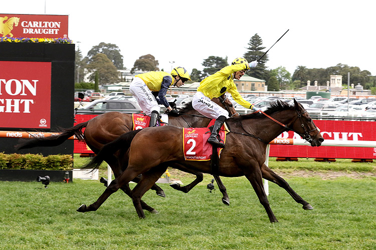 WITHOUT A FIGHT winning the Carlton Draught Caulfield Cup