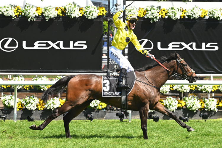 WITHOUT A FIGHT winning the Melbourne Cup at Flemington in Melbourne, Australia.