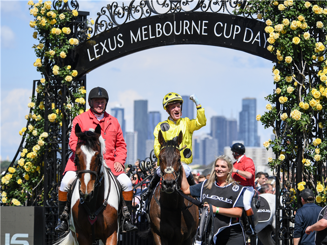 WITHOUT A FIGHT and Mark Zahra returning after winning the 2023 Melbourne Cup