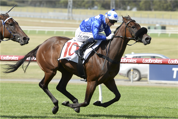 WROTE TO ARATAKI winning the Lamaro's Hotel Geoffrey Bellmaine Stakes at Sandown in Australia.