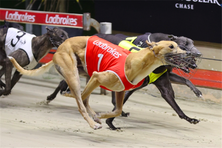 Yachi Bale (B1) storms to victory in his Million Dollar Chase semi-final
