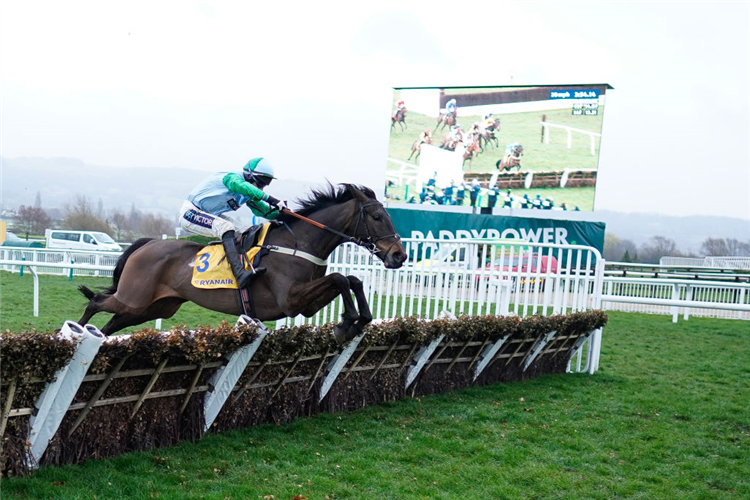 YOU WEAR IT WELL winning the Mares' Novices' Hurdle at Cheltenham in England.