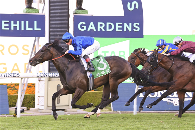 ZAPATEO winning the TAB BIRTHDAY CARD STAKES at Rosehill in Australia.