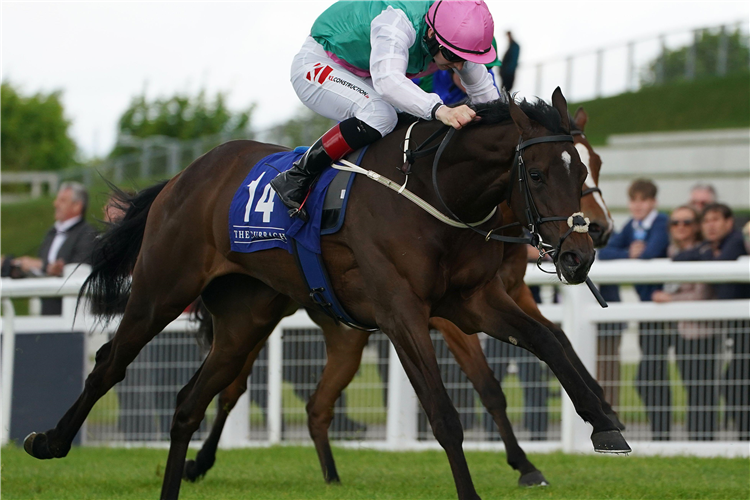 Zarinsk ridden by Colin Keane winning the Tally Ho Stud Irish EBF Fillies Maiden at Curragh racecourse Sunday May 22, 2022