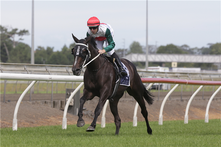 ZEE FALLS winning the COLLINSON FOREX KARAKA CUP