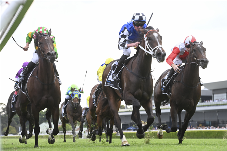 ZOE'S PROMISE winning the JACK INGHAM AO HANDICAP at Randwick in Australia.