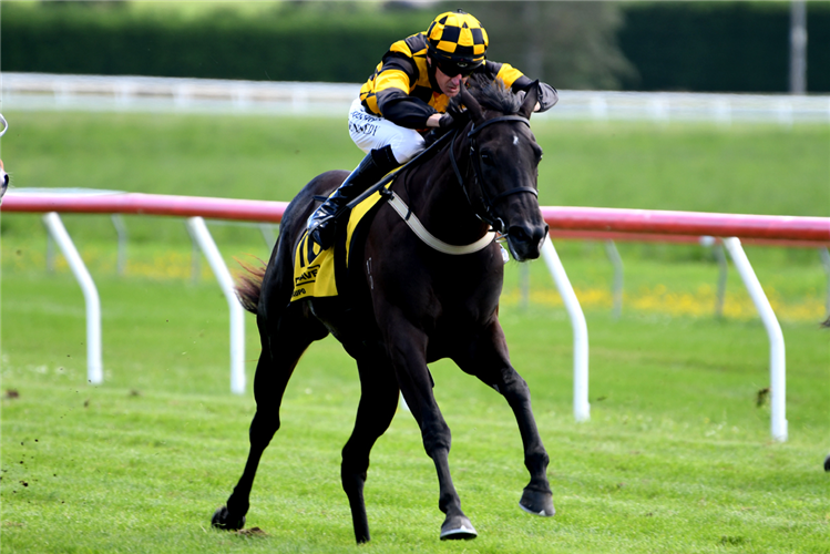 Zourion brought up trainer Mark Walker’s 1000th New Zealand win at Taupo on Tuesday.