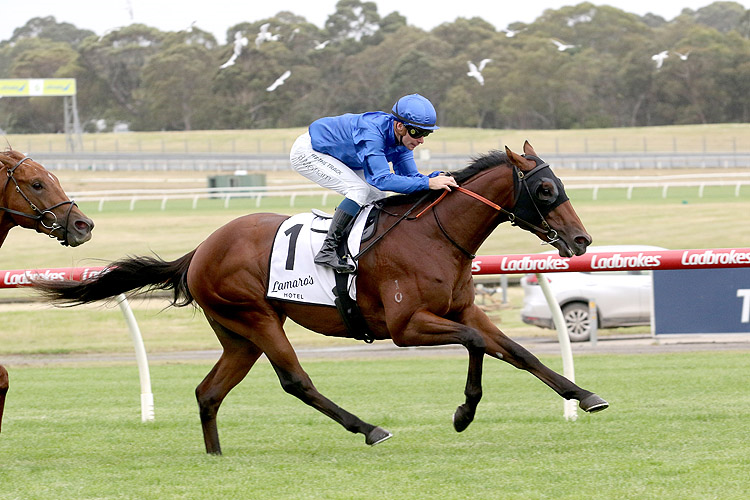 ZULFIQAR winning the Lamaro's Hotel Chairman's Stakes at Sandown in Australia.