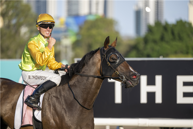 Bruce Hopes To Book End Doomben Meeting | Racing And Sports