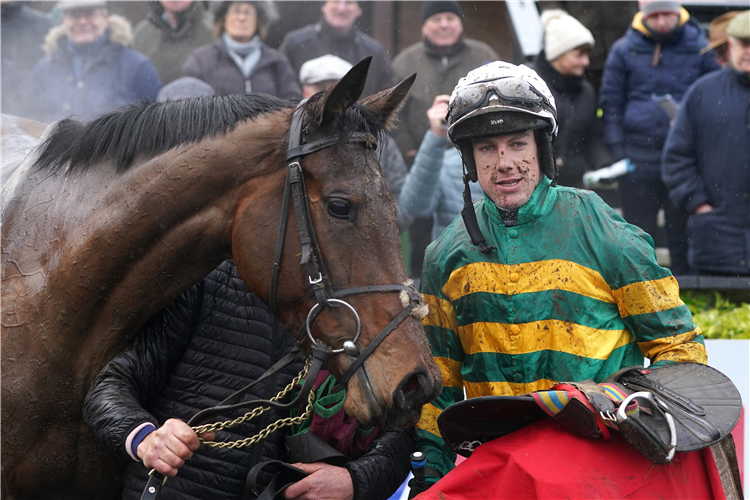 Jockey : Brian Hayes after winning the Madigan Group Novice Chase with Impervious. Trainer Colm Murphy is keen to see how Impervious recovers from her Cheltenham Festival heroics before deciding whether to pitch her back in against the boys before the end of the season.