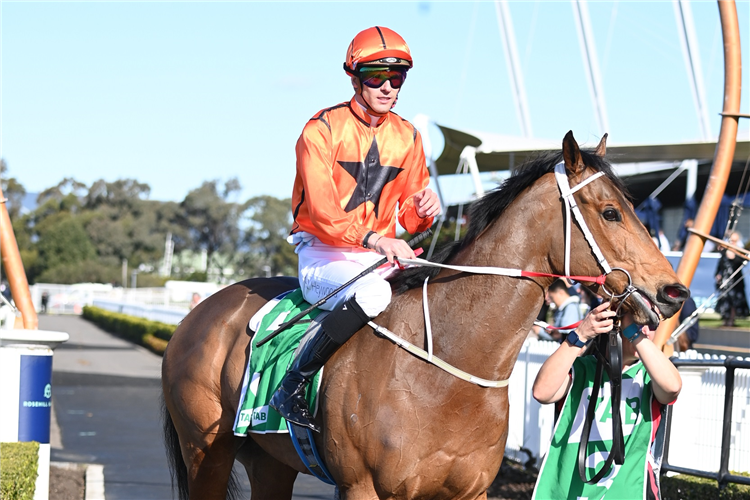 Jockey NICK HEYWOOD rode three winners at Canberra Friday.