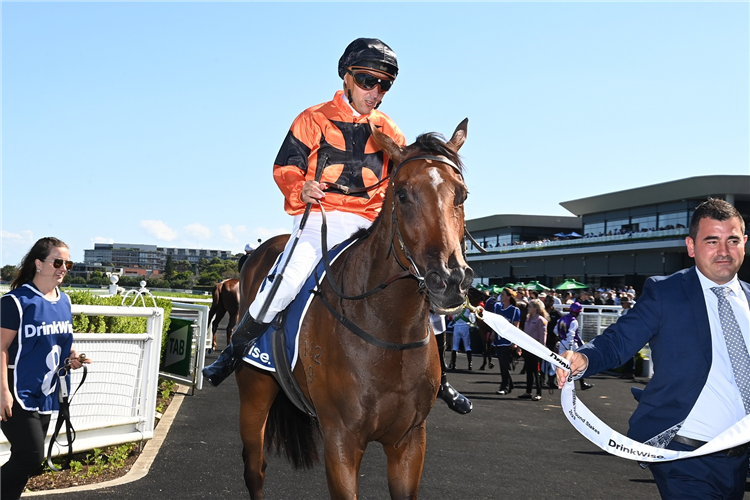 Jockey : RYAN MALONEY winning the DRINKWISE SURROUND STAKES at Randwick in Australia aboard Sunshine In Paris.