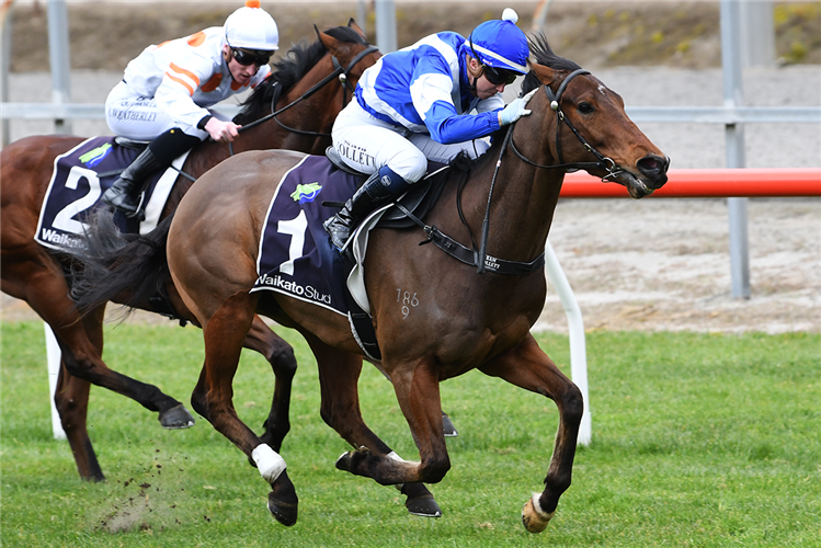 Collett brings up training century