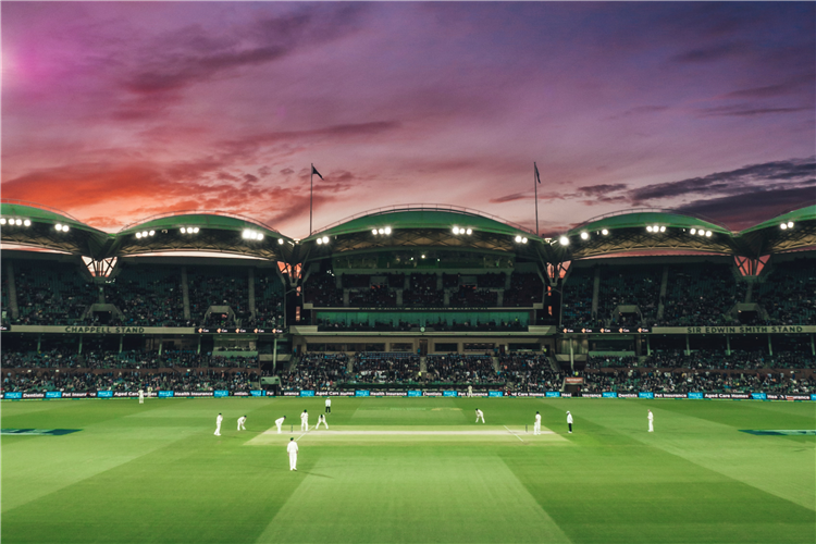 Night cricket at Adelaide Oval