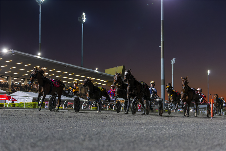 Albion Park in Brisbane