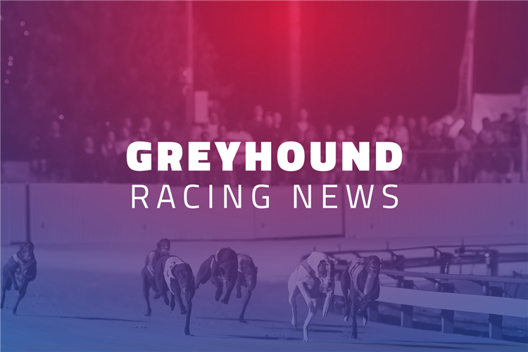 RSN Greyhound News